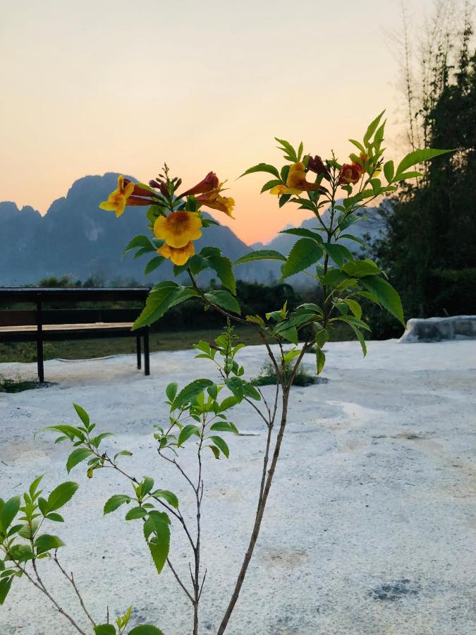 Jungle Paradise Vangvieng - Bungalows Vang Vieng Extérieur photo